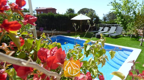 Der private Pool der Villa Noa, eingerahmt von roten Bougainvillea-Blüten, mit Sonnenliegen und einem weißen Sonnenschirm auf dem Rasen im Hintergrund.
