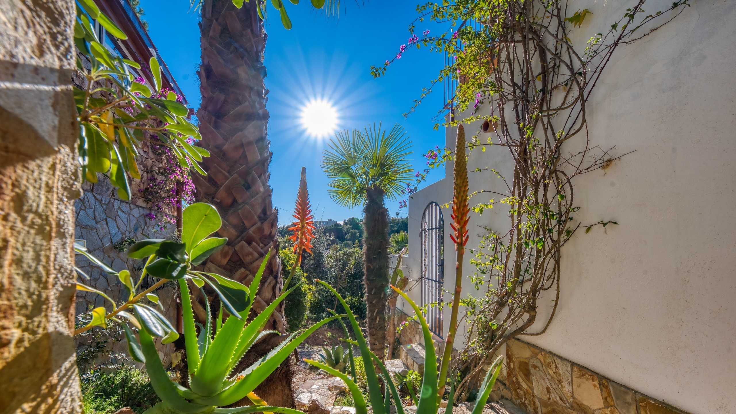Ferienhäuser Costa Brava Spanien - Casa AdoRa - Garten